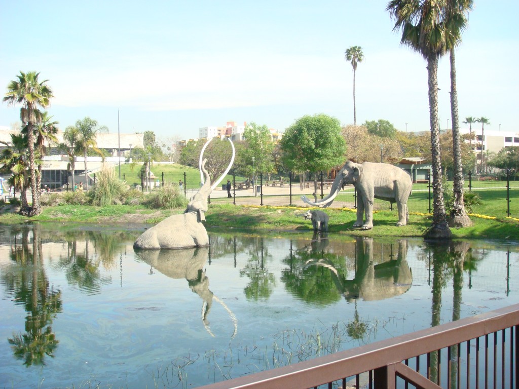 La Brea tar pits