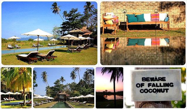 pool at temple tree langkawi malaysia