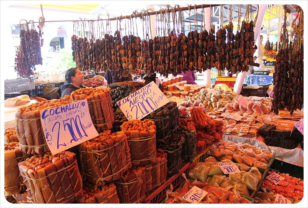 valdivia market algae