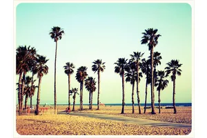 Los Angeles on a shoestring