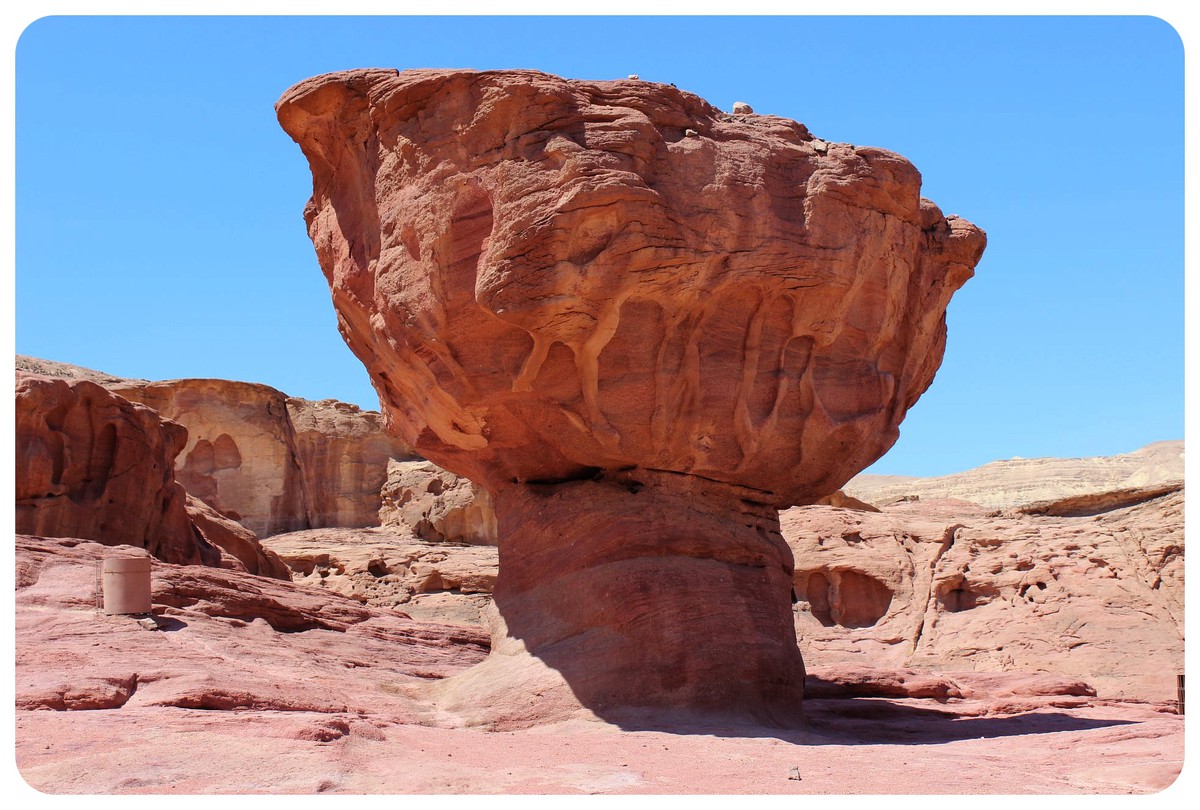 timna park mushroom