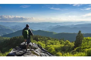 Freely Travel Insurance Review