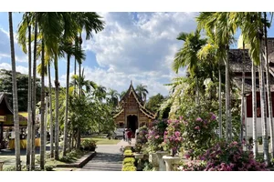 The 7 Best Hostels in Chiang Mai