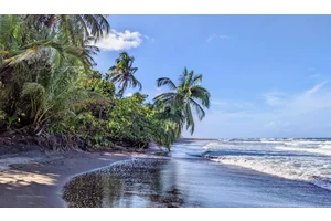 The Ultimate Guide to Renting a Car in Costa Rica