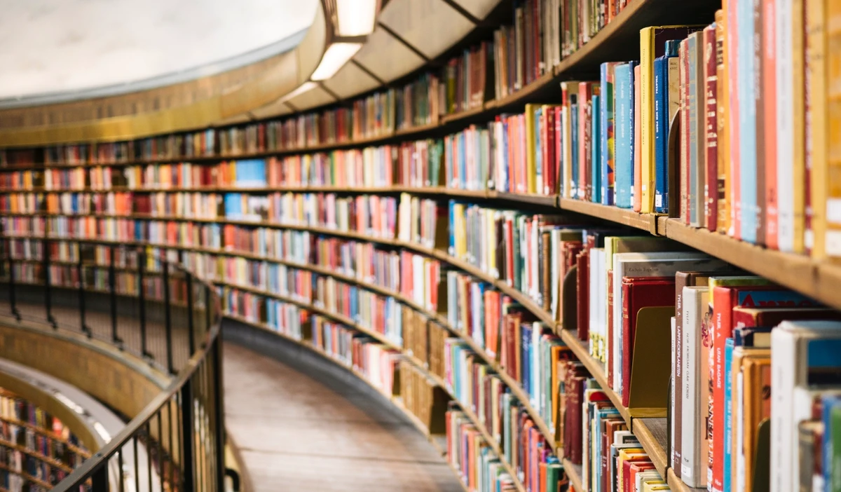 Curved shelves lined with books in a bookshop