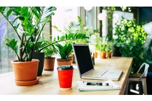 How to Start a Travel Blog
