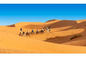 The Best Tour Companies in Morocco