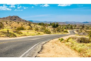 A 7-Day Southern California Road Trip Itinerary