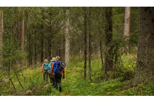 Retirement Travel: How to Get the Most Out of Senior Travel