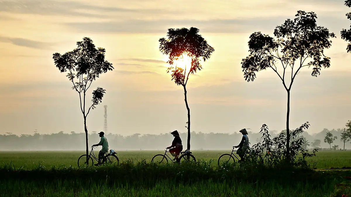 people riding a bicycle in Vietnam