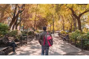 You Can’t Win If You Don’t Play