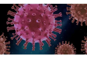 An Update on Life with Coronavirus