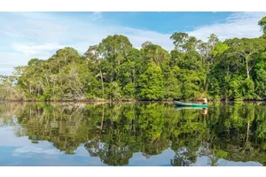 How to Visit the Amazon Rainforest in Bolivia