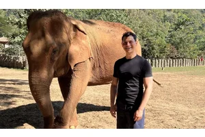 How to Ethically See Elephants in Thailand