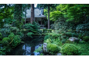 The Beautiful Temples and Gardens of Kyoto