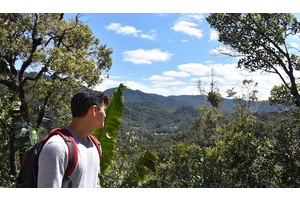 How I Built This (What I Learned Being a Scammy Marketer)