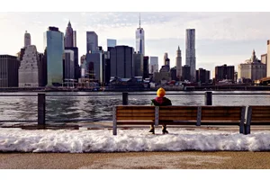 The Settled Life in New York City