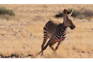 24 Stunning Photos from My Trip Around Southern Africa