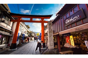 38 Reasons Why I am Excited to Visit Japan