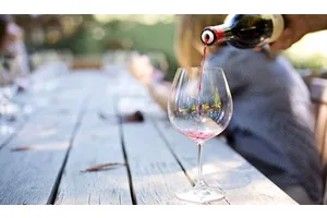 How to Visit Napa Valley on a Budget