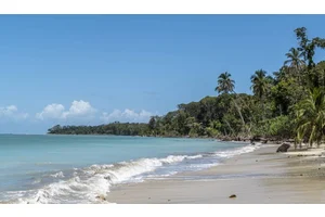 How to Visit Costa Rica’s Cahuita National Park