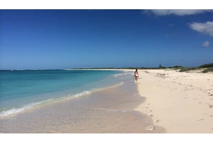 Travel is a Privilege