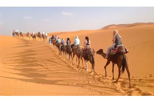 A Journey of 1,000 Mint Teas: Reflections on Traveling Morocco