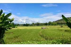 The Cost of Traveling Laos
