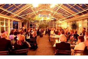 The Swedish Birthday Party