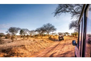 How to Safari in East Africa