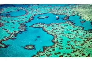 Diving the Great Barrier Reef