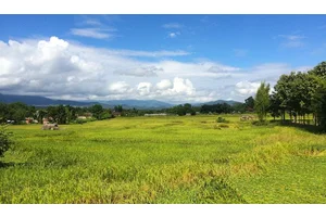 Pai: Thailand’s Mountain Backpacker Paradise (or Hell?)