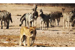 27 More Pretty Photos From My Trip to Africa