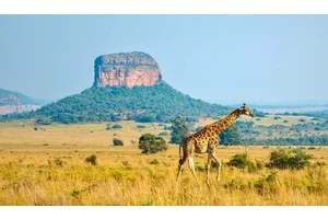 The 12 Best Things to Do in South Africa